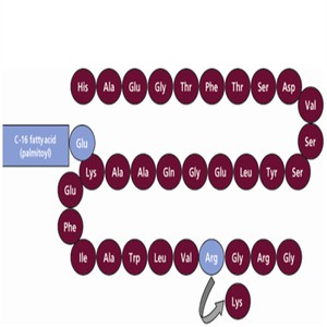 Liraglutide Molecular Structure
